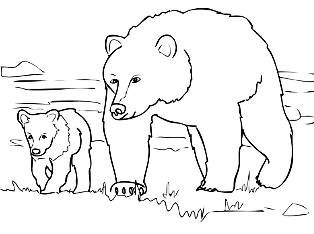 Niedźwiedź polarny kolorowanki